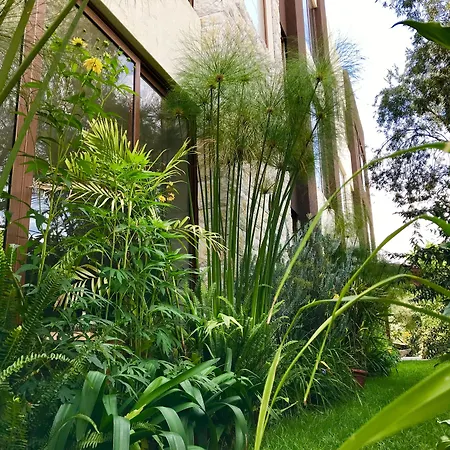 Ilalo Garden Hotel & Restaurant-3